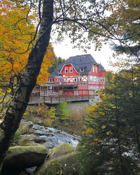 Waldgasthaus und Hotel Steinerne Renne